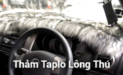 tham-taplo-long-thu-cho-xe-o-to-tai-panda-auto